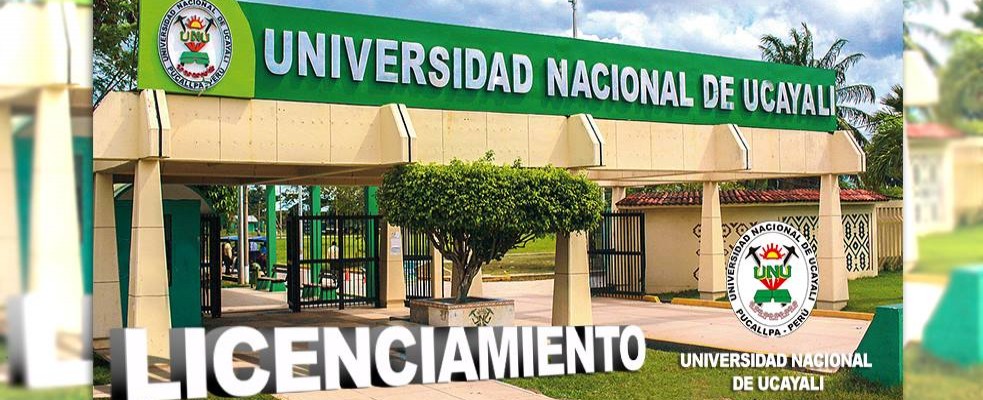UNIVERSIDAD NACIONAL DE UCAYALI - LICENCIADA